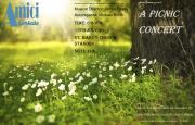 2019-Jul A Picnic Concert in St Mary's Standon